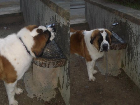 veviendo agua