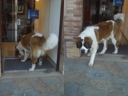entrando al banco y saliendo jaja