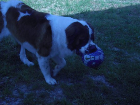 jugando